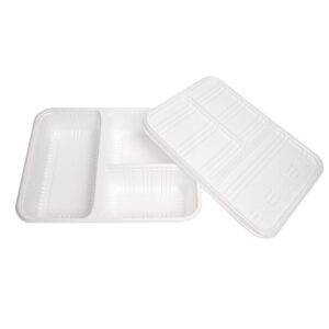 PLA Compostable take out containers