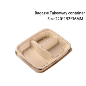 Compostable Bagasse Takeout lunch box