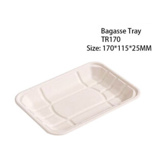 Compostable Bagasse Produce Tray