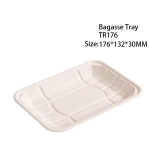 Compostable Bagasse Produce Tray