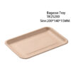 Compostable Bagasse Produce Tray