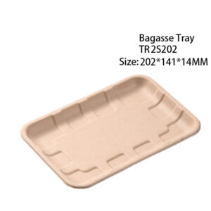 Compostable Bagasse Produce Fresh Tray