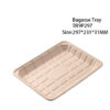 Compostable Bagasse Produce Trays