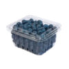 Compostable blueberry Clamshell Packaging