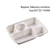 Compostable Bagasse Takeout Box