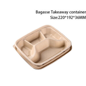 Bagasse Take out Food Container