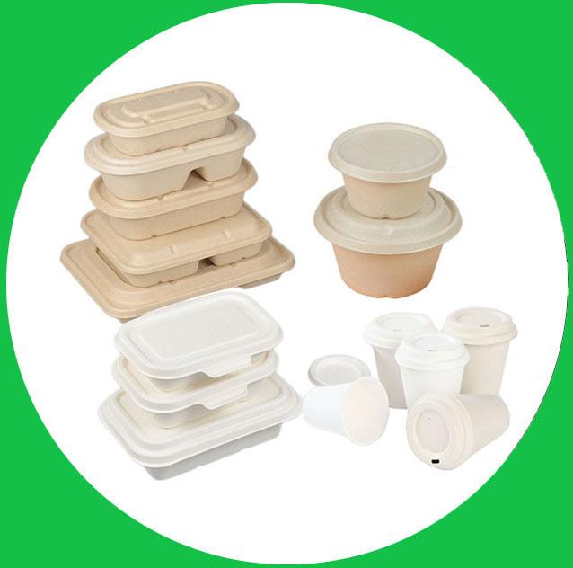 bagasse fiber packaging