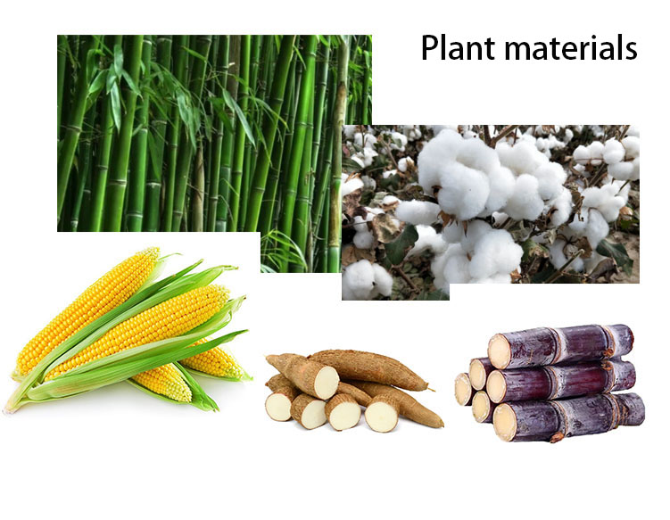 plant material 1