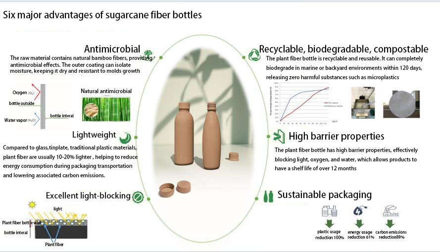 bagasse fiber packaging